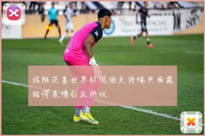诺维茨基世界杯现场支持瑞典面露错愕表情引发热议
