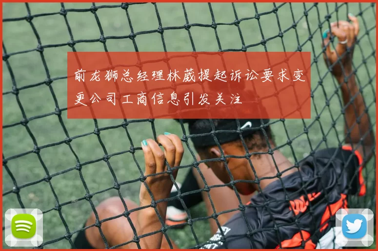 前龙狮总经理林葳提起诉讼要求变更公司工商信息引发关注